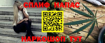 гашик Нарткала
