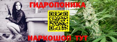 гашик Нарткала