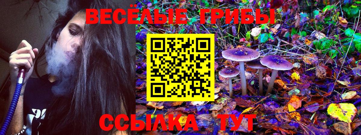 Узловая  что такое наркотик  Вход с VPN  Галлюциногенные грибы Psilocybe 