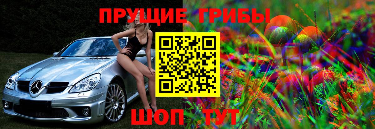 Галлюциногенные грибы мицелий Узловая